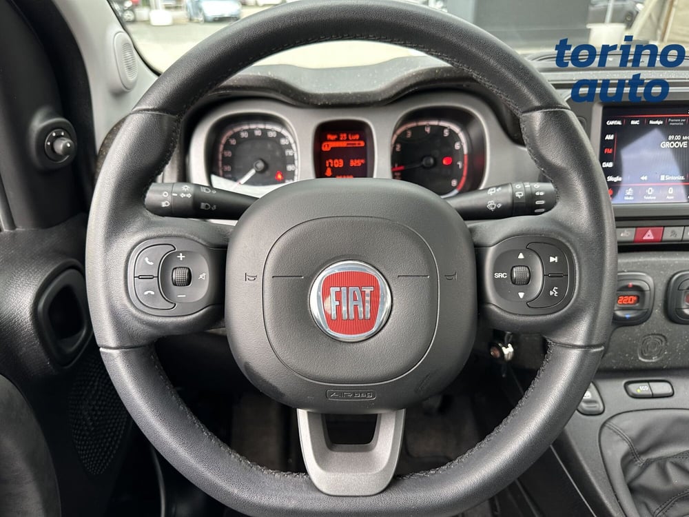 Fiat Panda Cross usata a Torino (15)