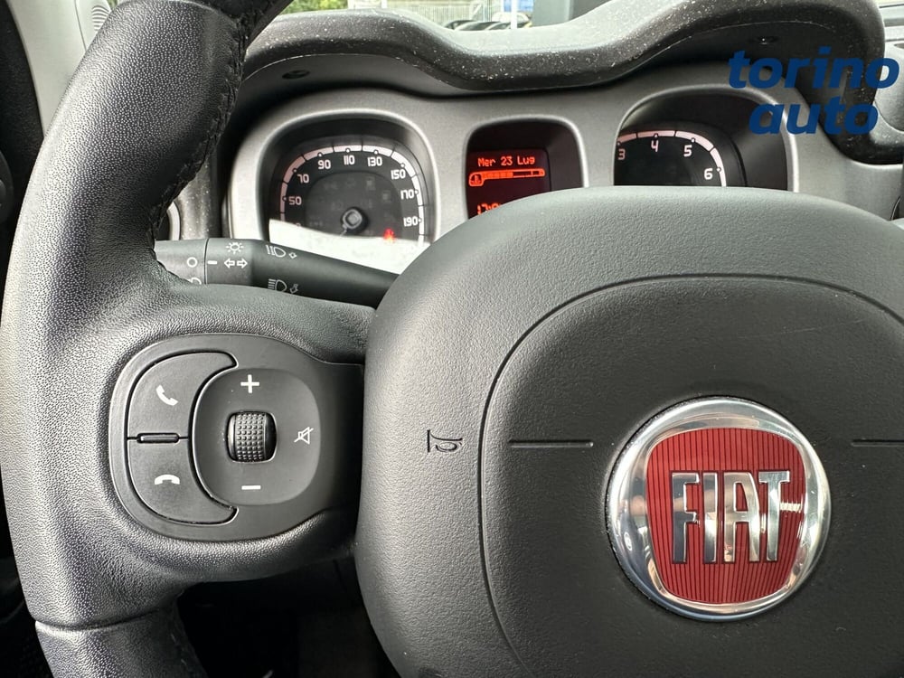 Fiat Panda Cross usata a Torino (16)