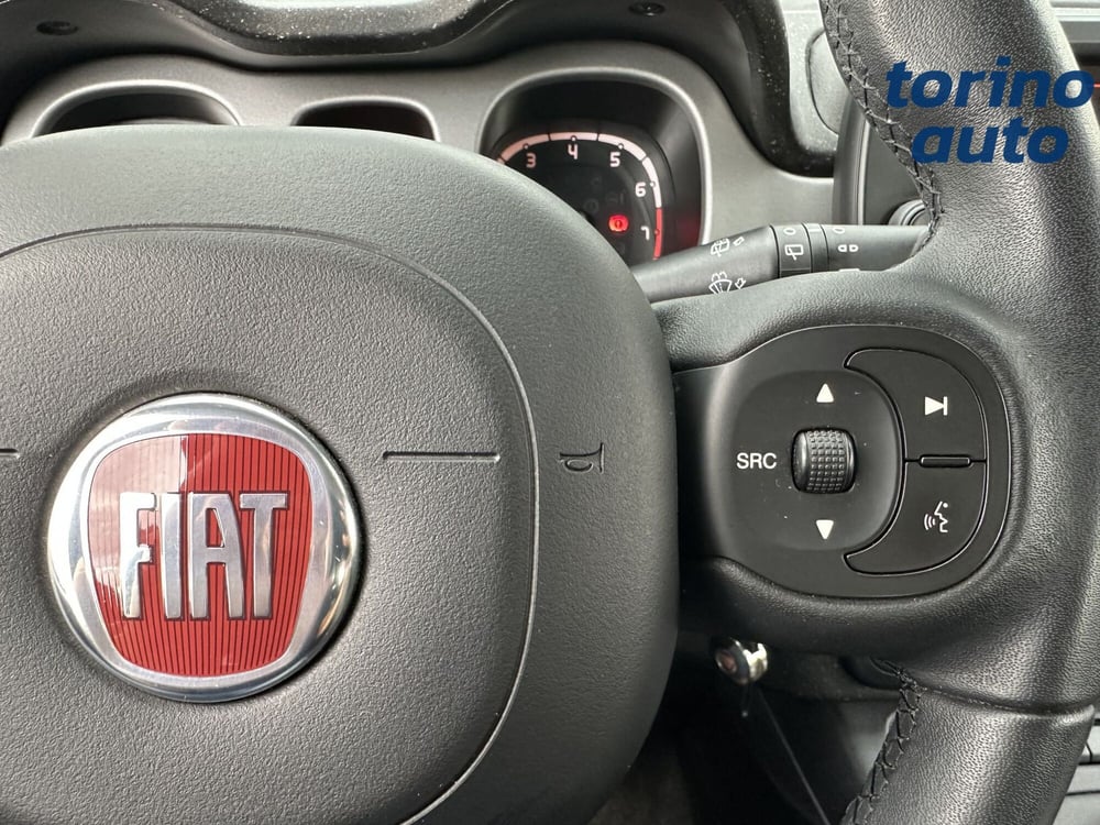 Fiat Panda Cross usata a Torino (17)