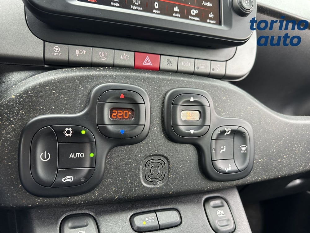 Fiat Panda Cross usata a Torino (20)