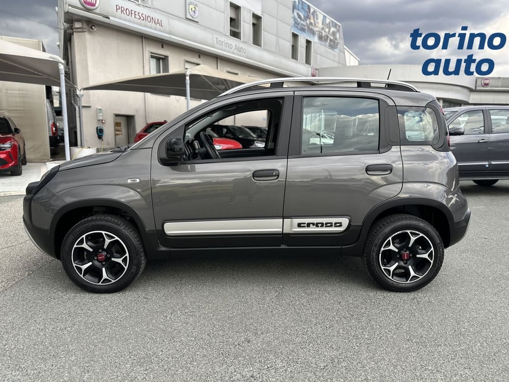 Fiat Panda Cross usata a Torino (4)