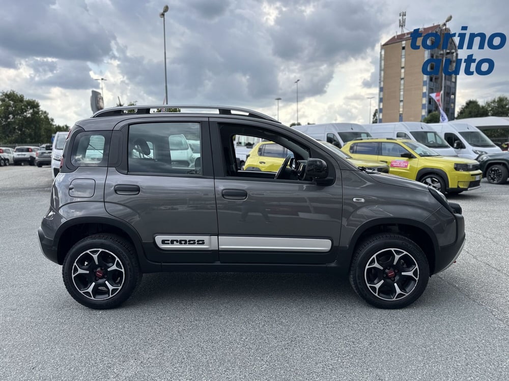 Fiat Panda Cross usata a Torino (8)