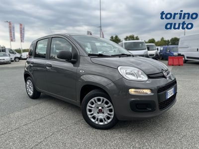 Fiat Panda 1.2 EasyPower Easy del 2019 usata a Torino