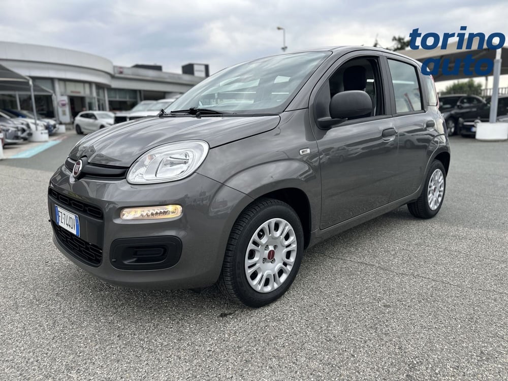 Fiat Panda usata a Torino (3)