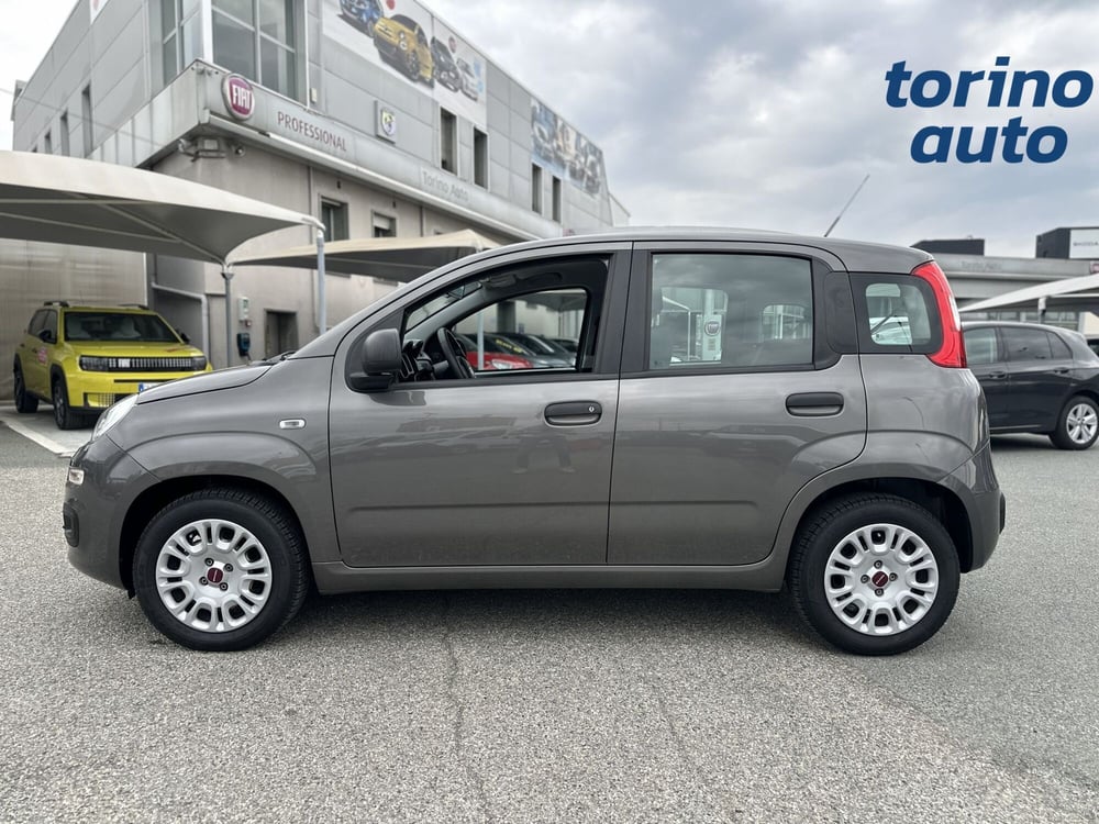 Fiat Panda usata a Torino (4)