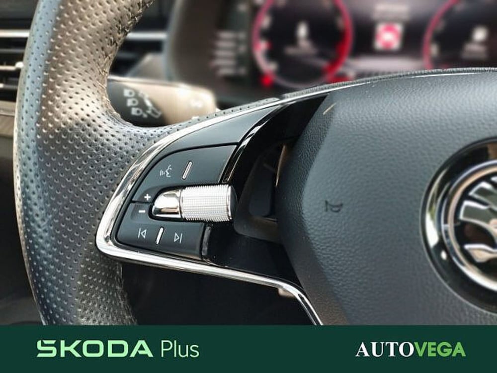 Skoda Kamiq usata a Vicenza (11)