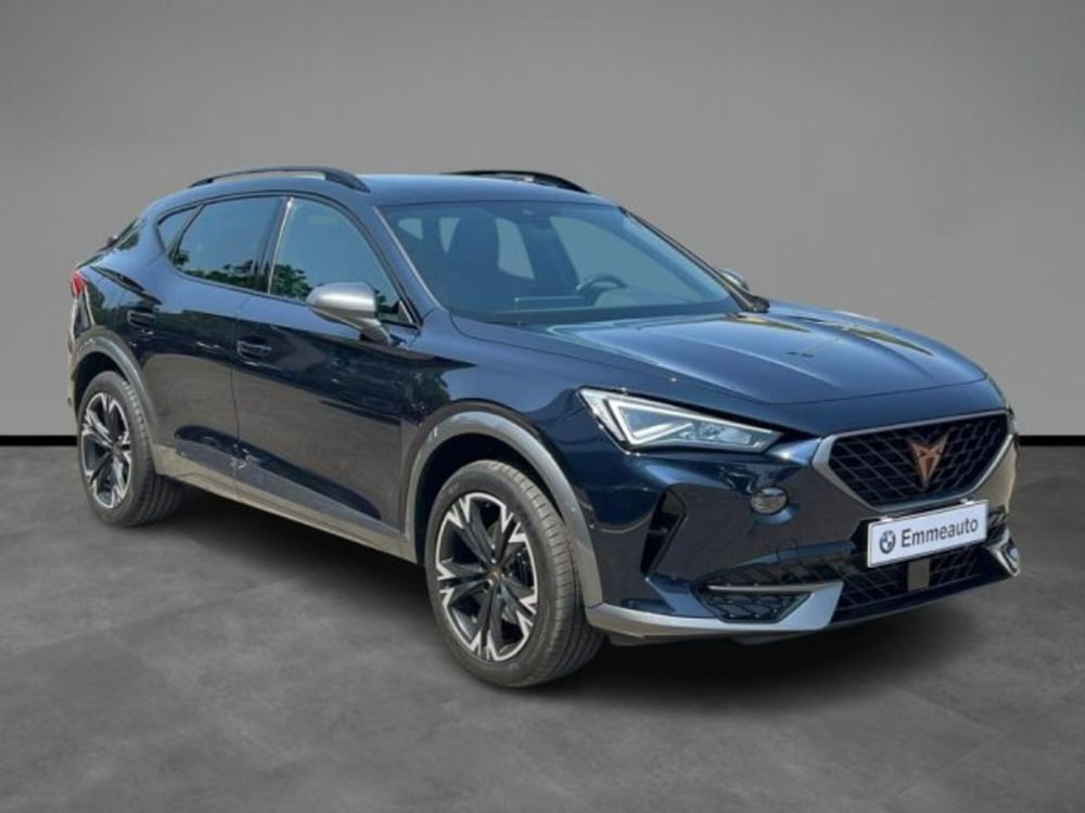 Cupra Formentor usata a Lecce (6)