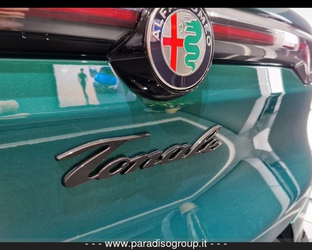 Alfa Romeo Tonale usata a Catanzaro (15)