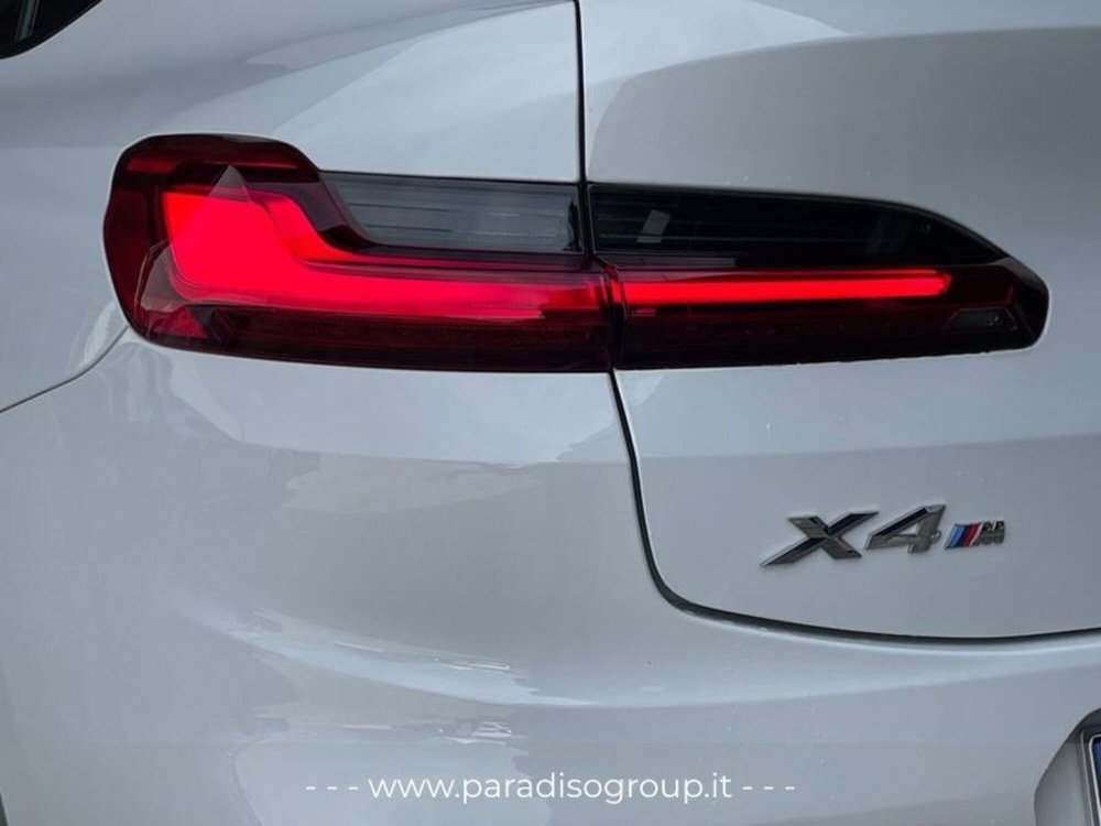 BMW X4 usata a Catanzaro (9)