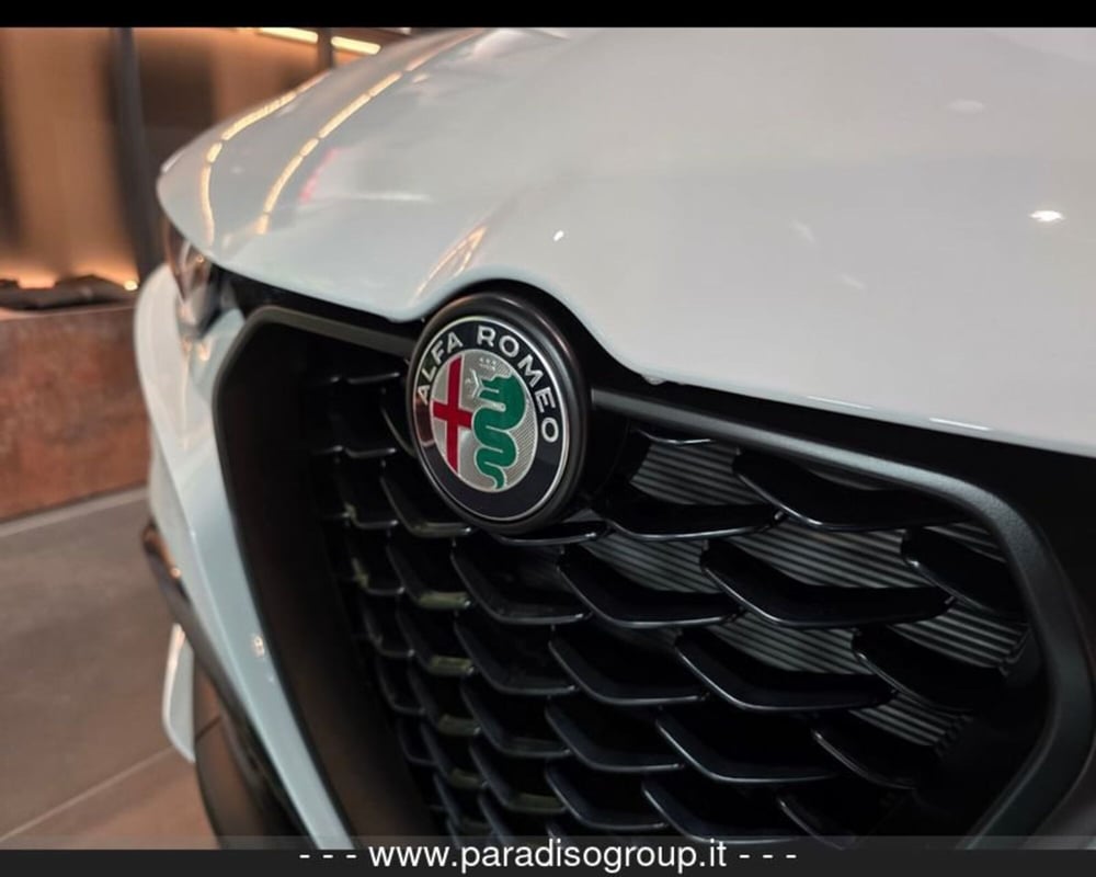Alfa Romeo Tonale nuova a Catanzaro (17)