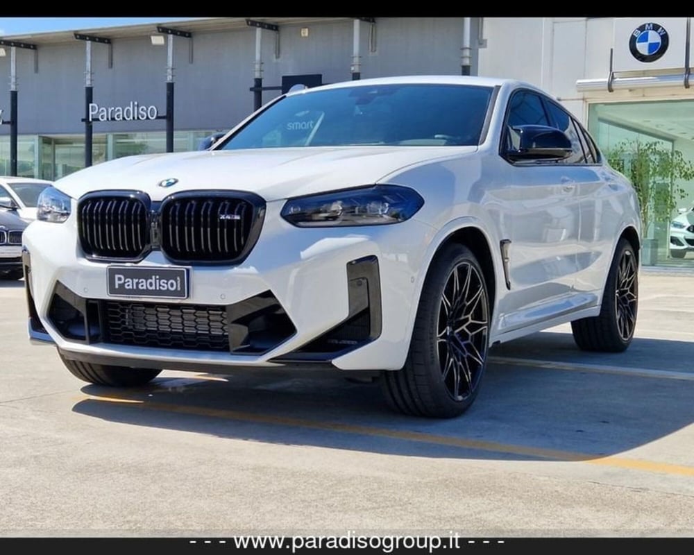 BMW X4 usata a Catanzaro