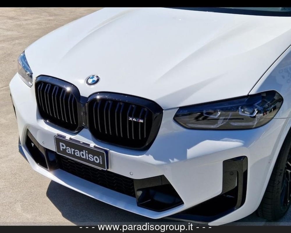 BMW X4 usata a Catanzaro (13)