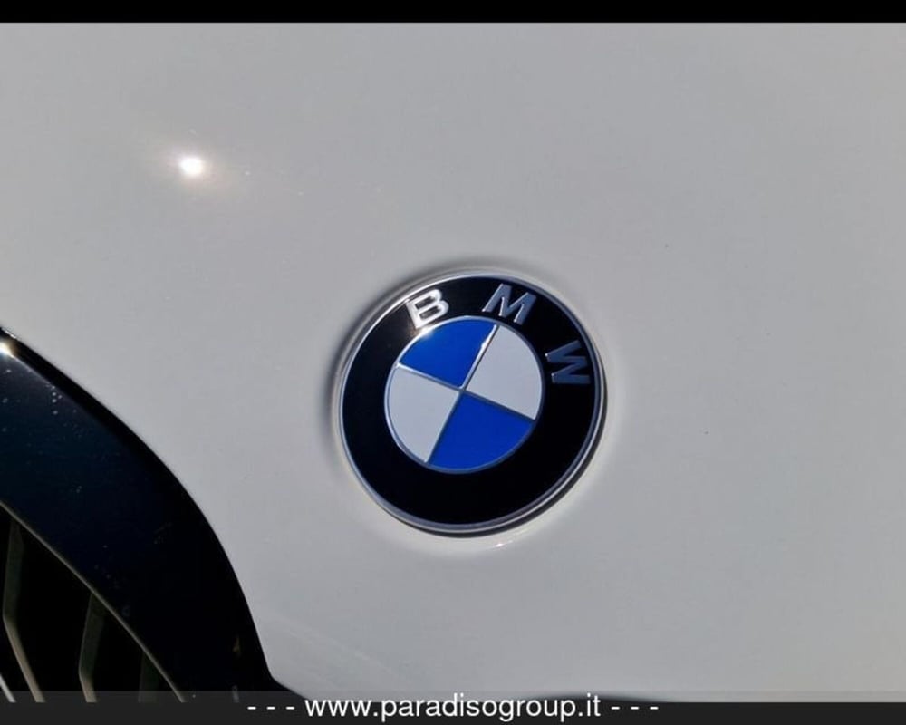 BMW X4 usata a Catanzaro (14)
