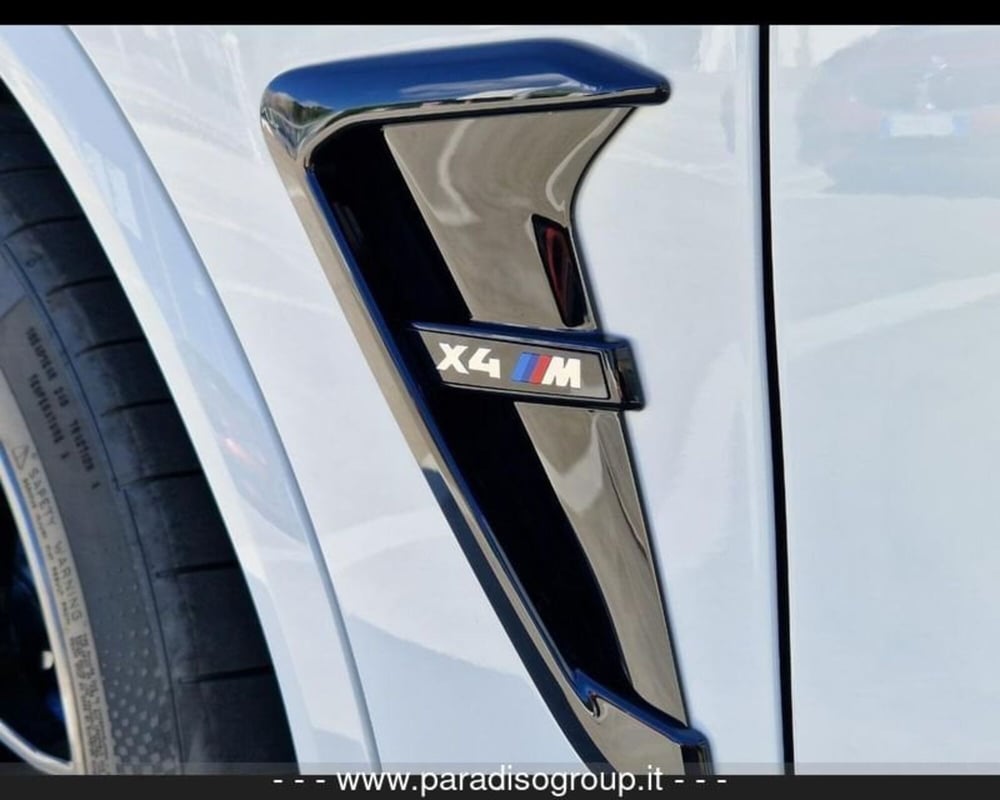 BMW X4 usata a Catanzaro (16)