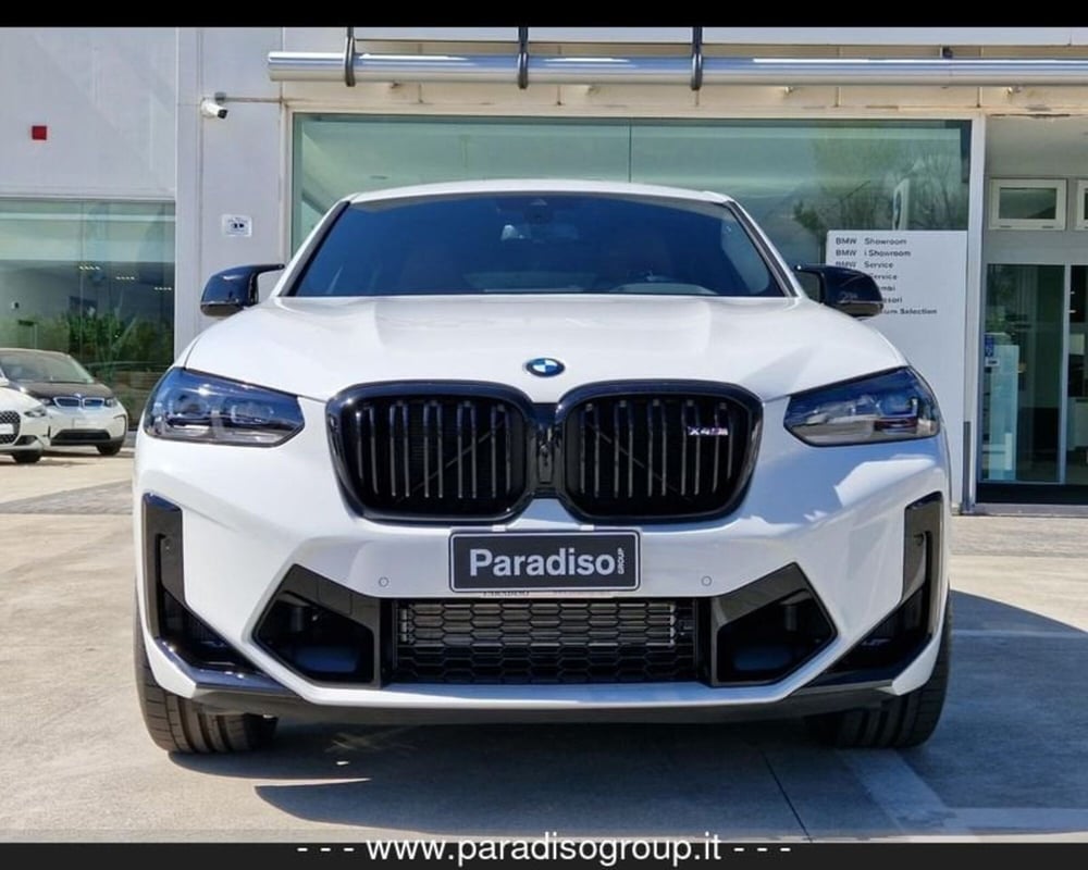 BMW X4 usata a Catanzaro (2)