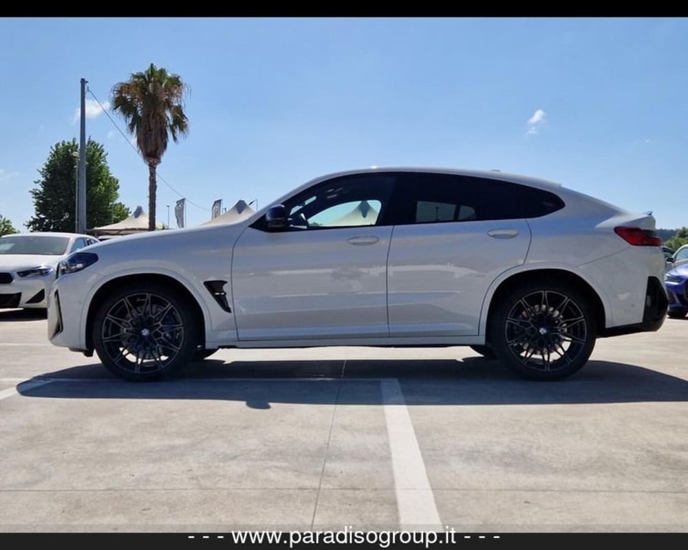 BMW X4 usata a Catanzaro (3)