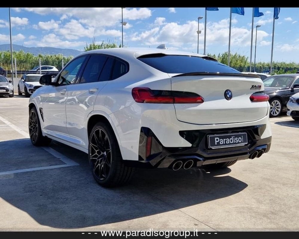 BMW X4 usata a Catanzaro (4)
