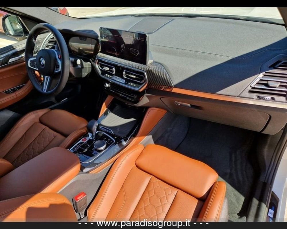BMW X4 usata a Catanzaro (6)