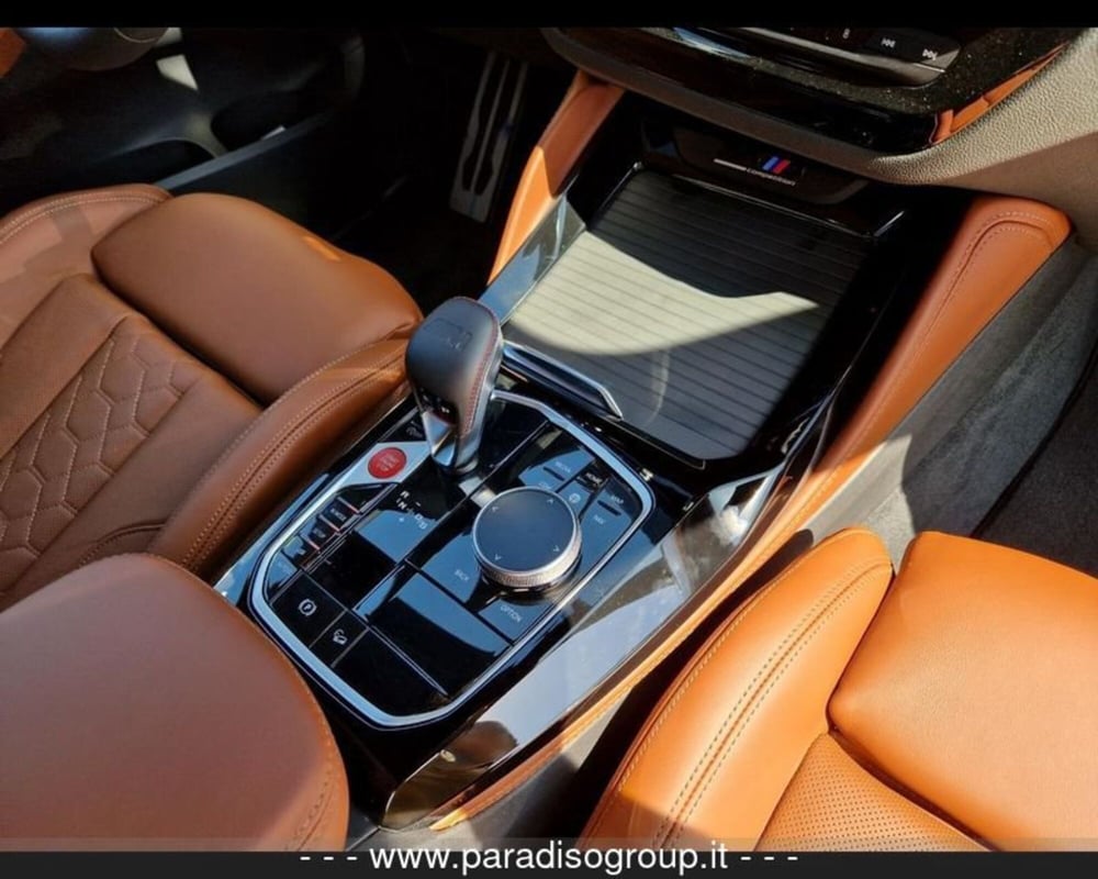 BMW X4 usata a Catanzaro (8)