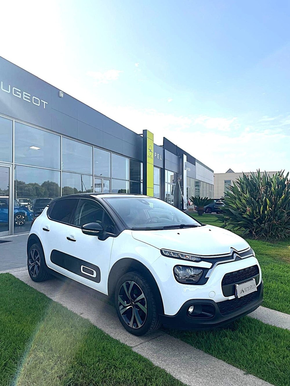 Citroen C3 usata a Sassari (11)