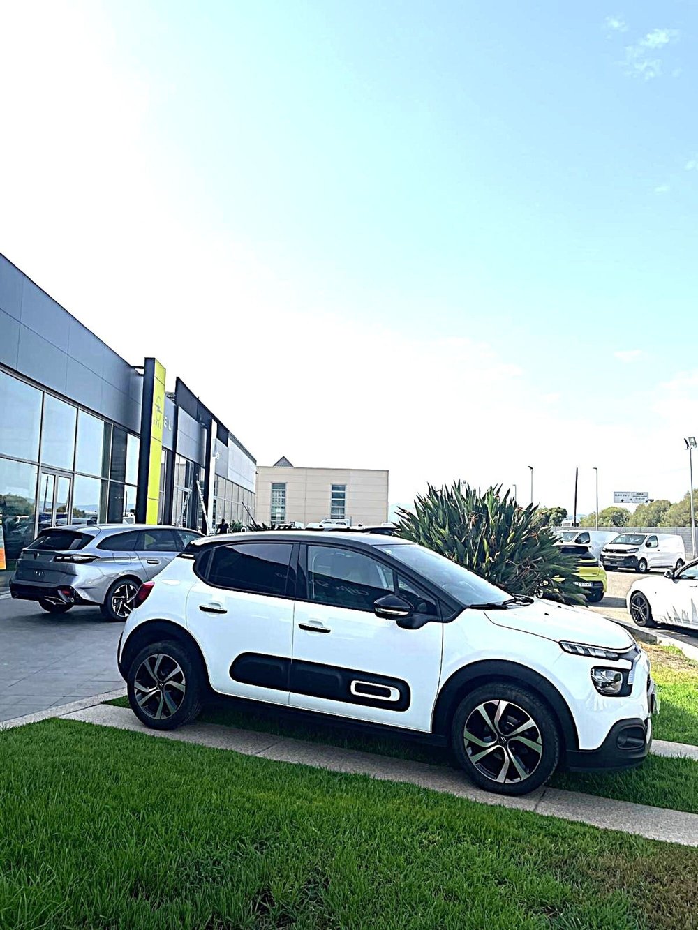 Citroen C3 usata a Sassari (5)