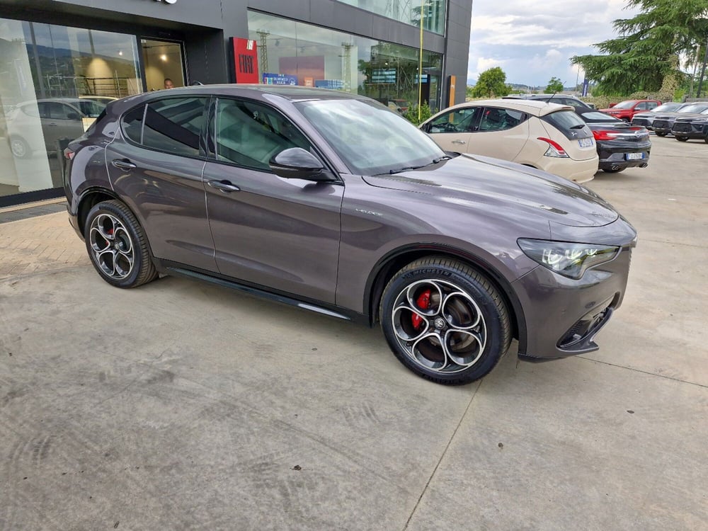 Alfa Romeo Stelvio usata a Cosenza (2)