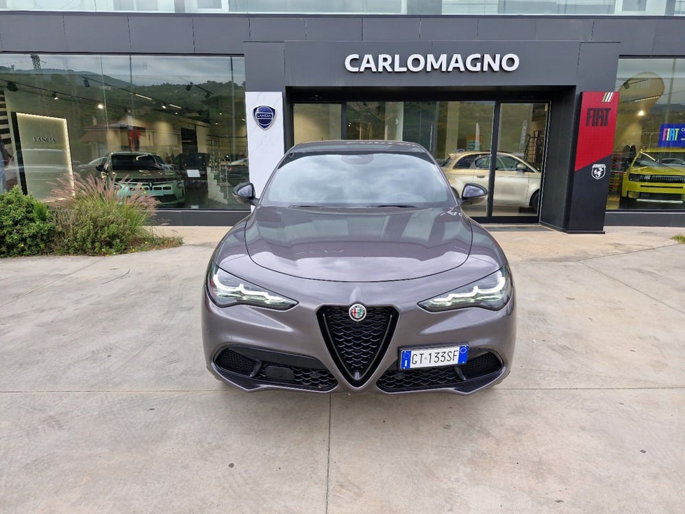 Alfa Romeo Stelvio usata a Cosenza (5)