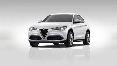Alfa Romeo Stelvio Stelvio 2.2 Turbodiesel 190 CV AT8 Q4 Super Business del 2019 usata a Rende