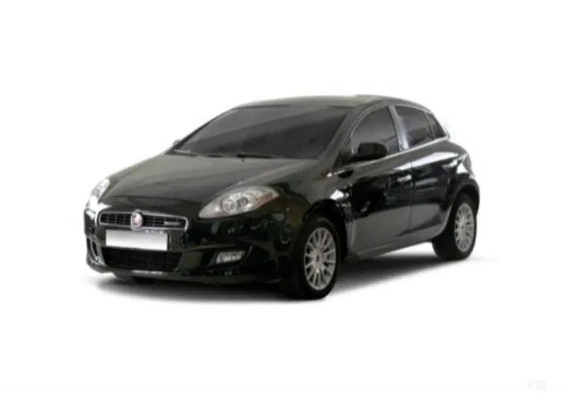 Fiat Bravo usata a Cosenza (15)