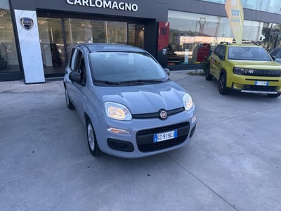 Fiat Panda 1.2 Easy del 2020 usata a Rende