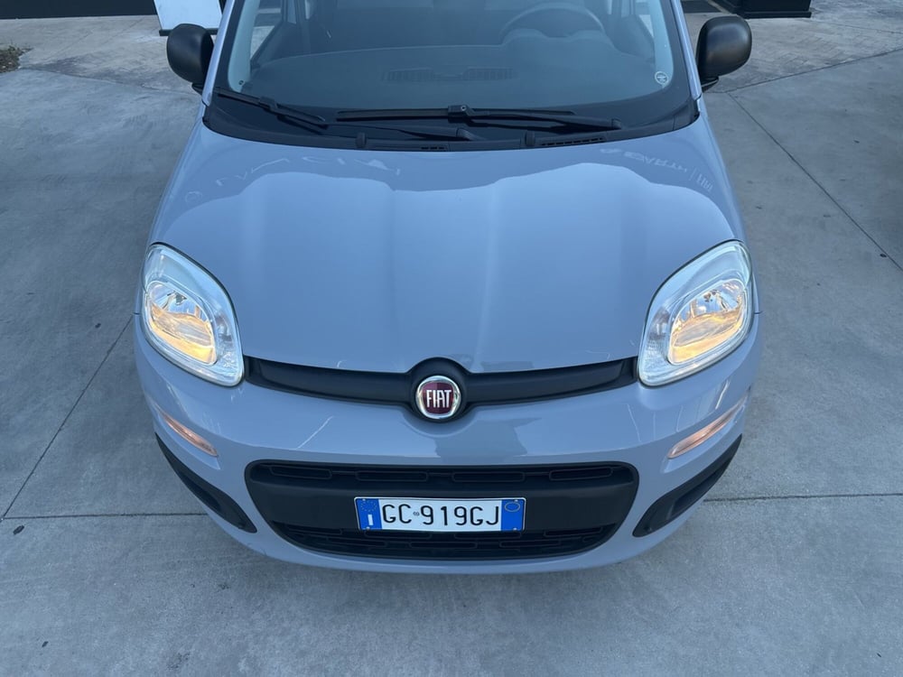 Fiat Panda usata a Cosenza (13)