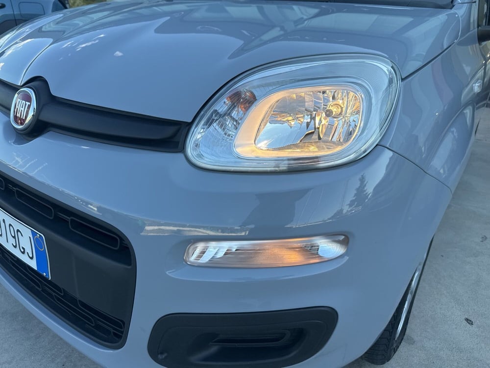 Fiat Panda usata a Cosenza (16)