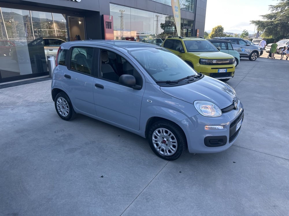 Fiat Panda usata a Cosenza (2)