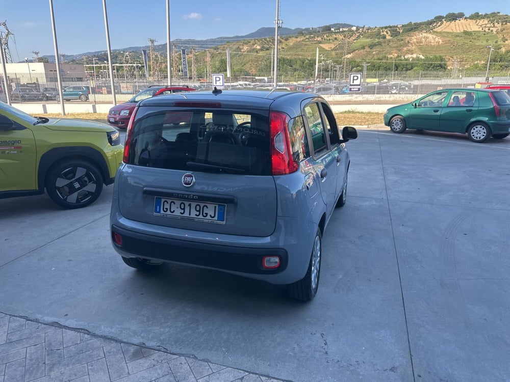 Fiat Panda usata a Cosenza (3)