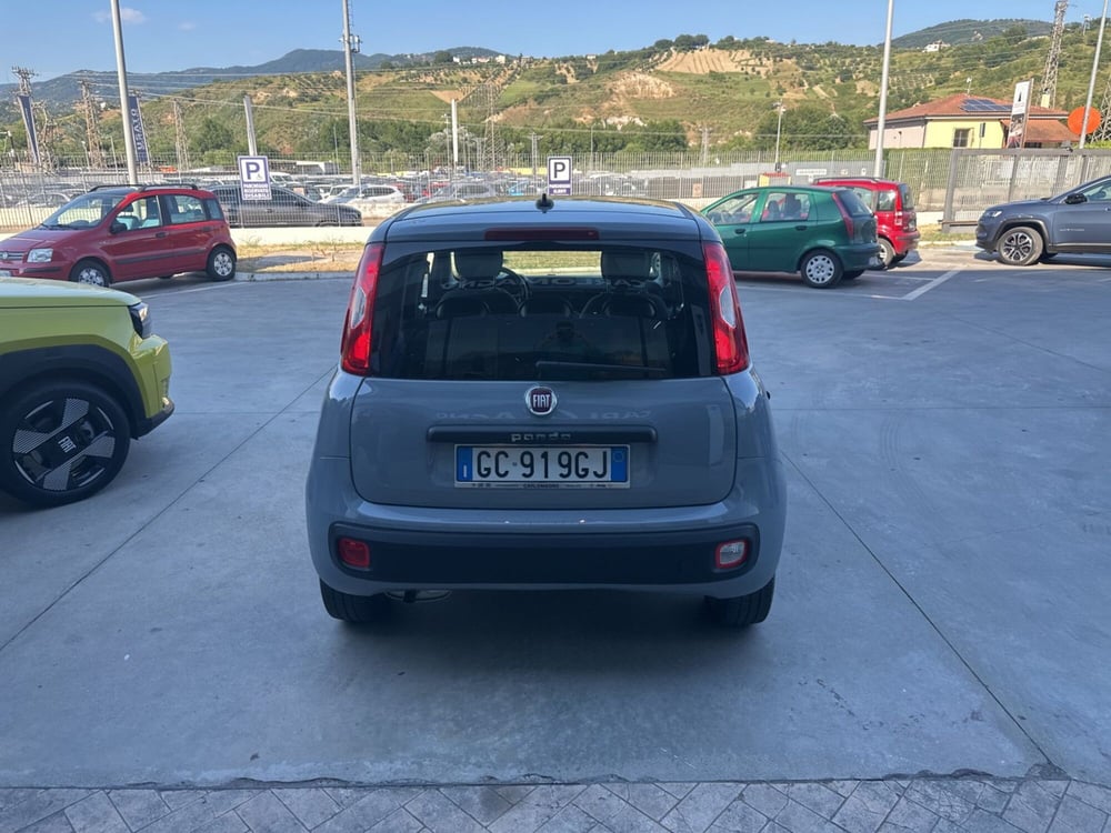 Fiat Panda usata a Cosenza (4)
