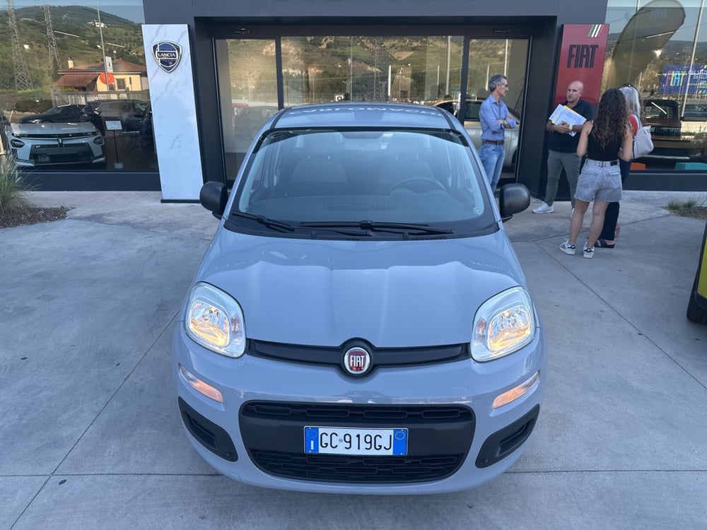 Fiat Panda usata a Cosenza (5)