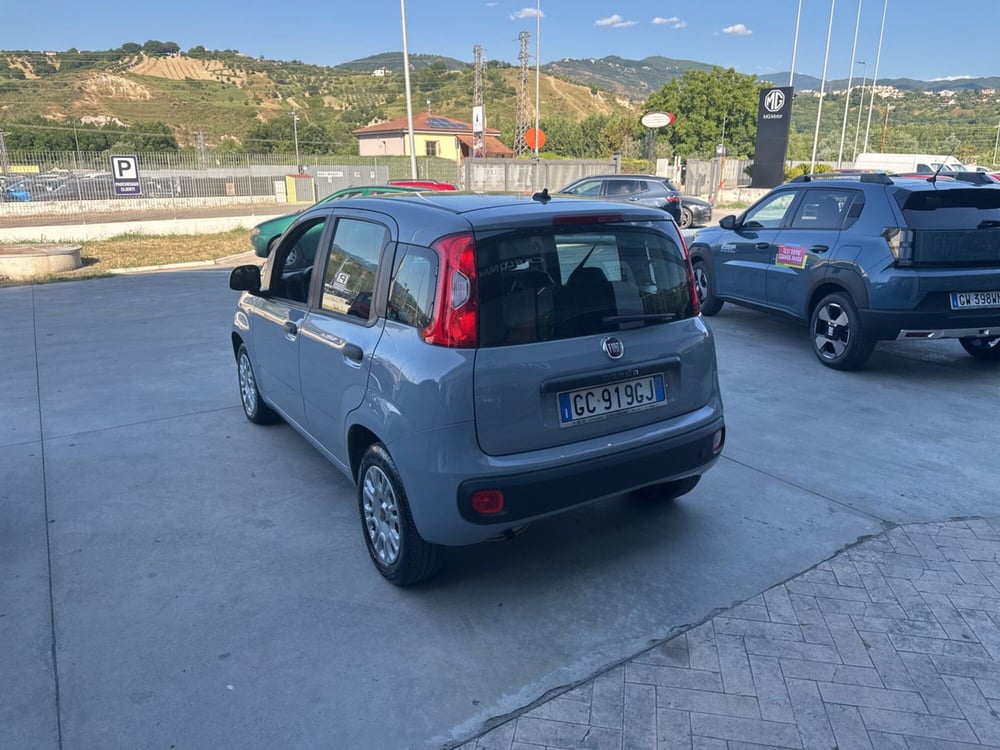 Fiat Panda usata a Cosenza (6)