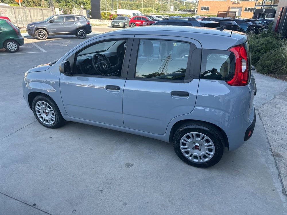 Fiat Panda usata a Cosenza (7)