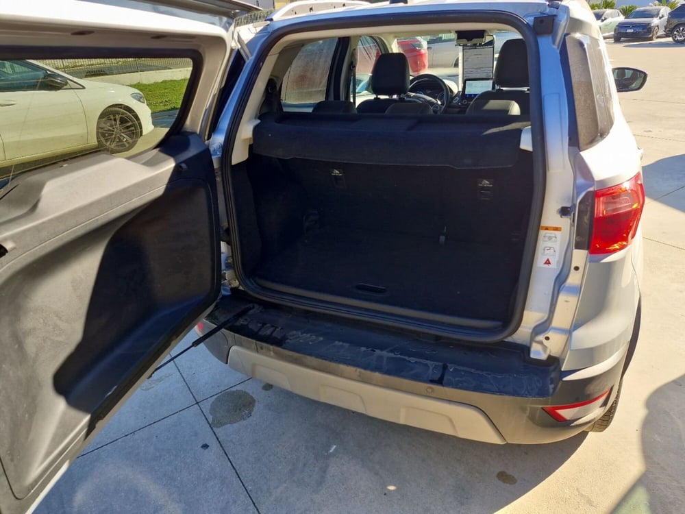Ford EcoSport usata a Cosenza (14)