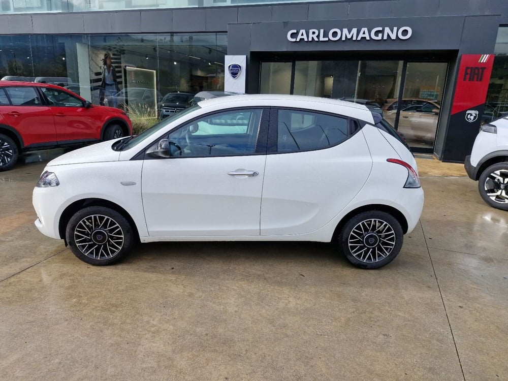 Lancia Ypsilon usata a Cosenza (2)