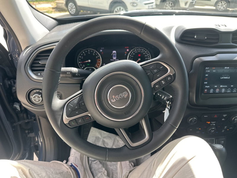 Jeep Renegade usata a Cosenza (20)