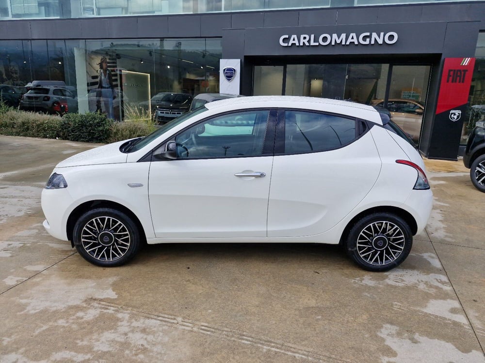 Lancia Ypsilon usata a Cosenza (2)