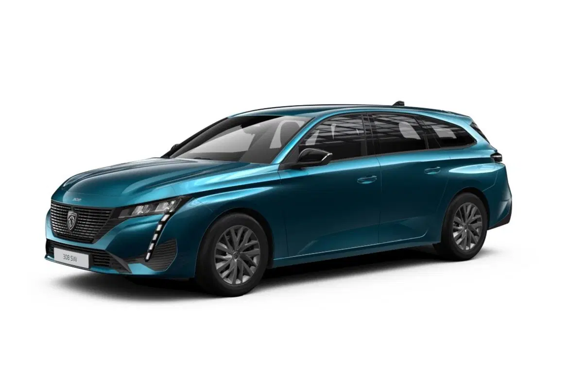 Peugeot 308 SW usata a Cosenza