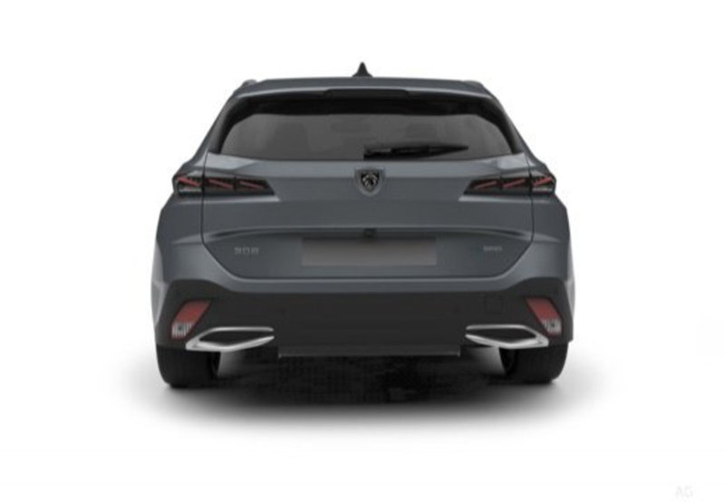 Peugeot 308 SW usata a Cosenza (10)