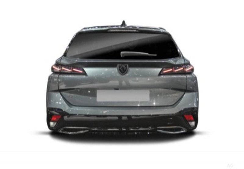 Peugeot 308 SW usata a Cosenza (11)