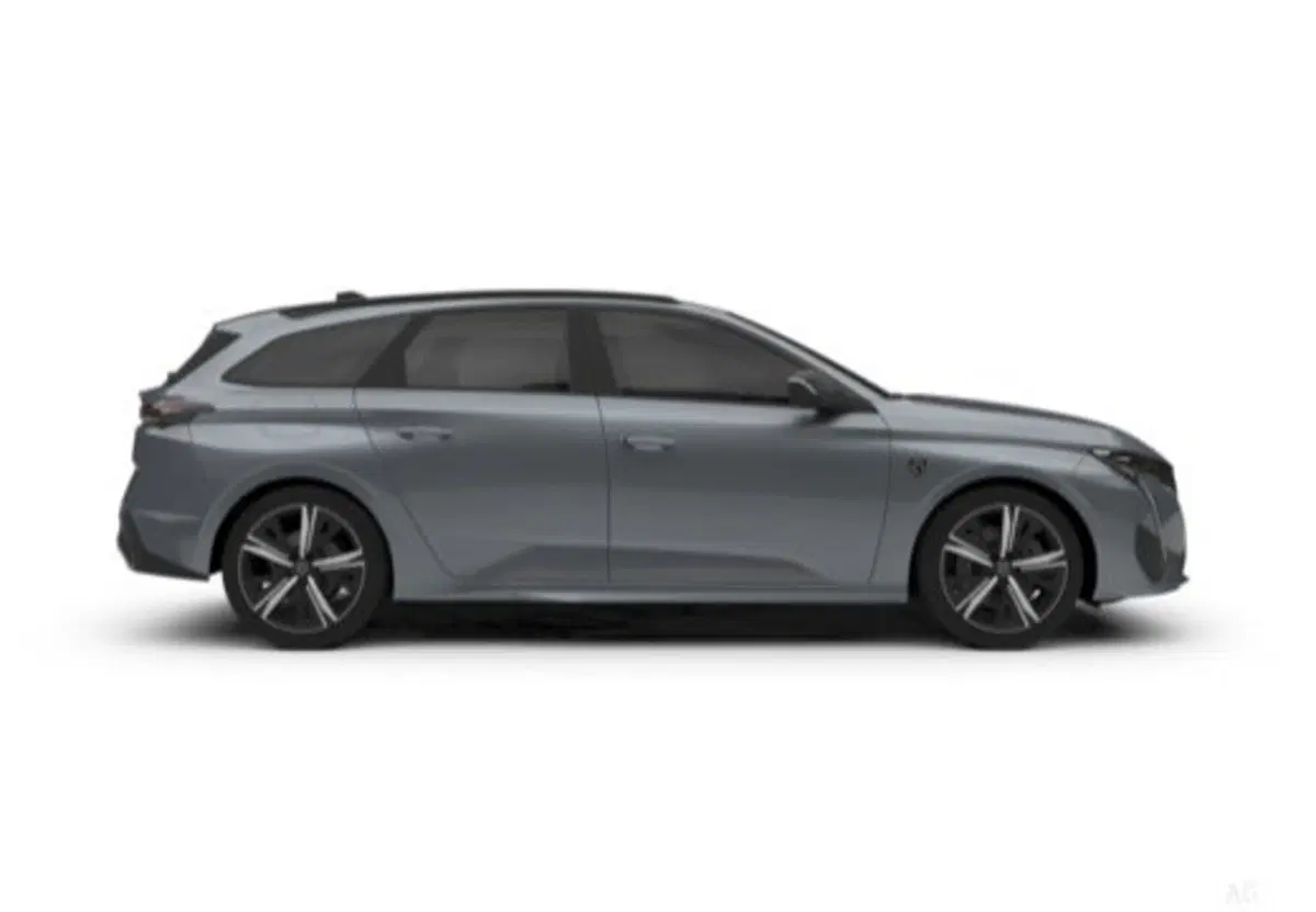 Peugeot 308 SW usata a Cosenza (14)