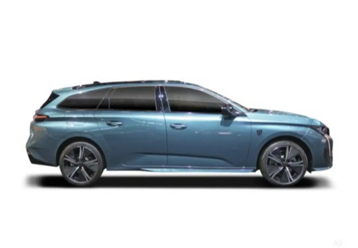 Peugeot 308 SW usata a Cosenza (15)