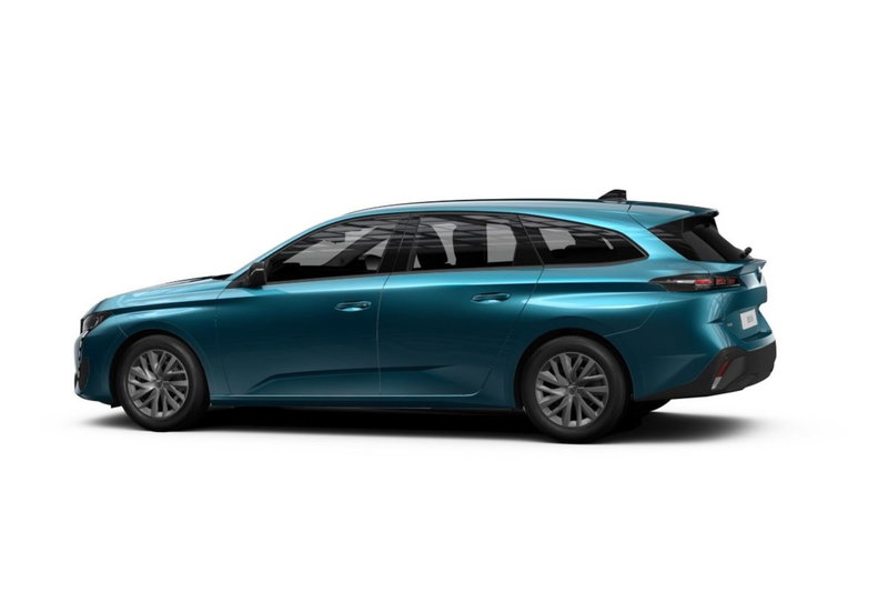 Peugeot 308 SW usata a Cosenza (2)