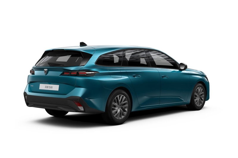 Peugeot 308 SW usata a Cosenza (3)