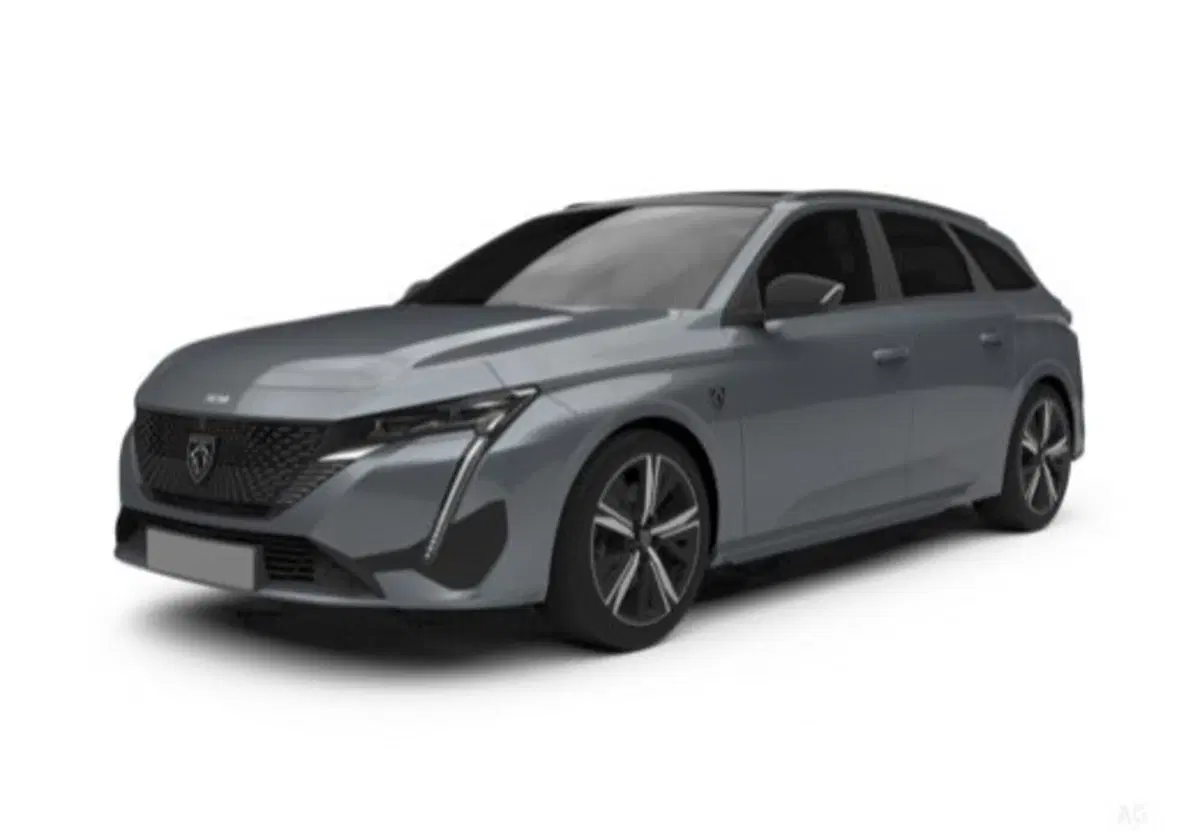 Peugeot 308 SW usata a Cosenza (4)